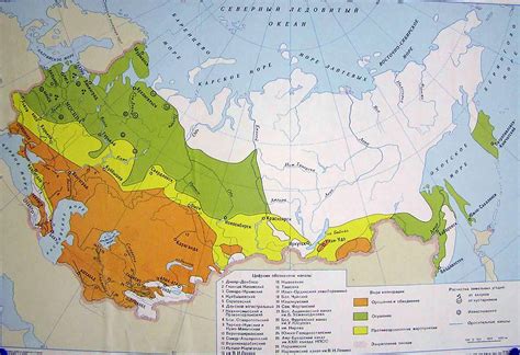 Виды мелиорированных земель и их особенности