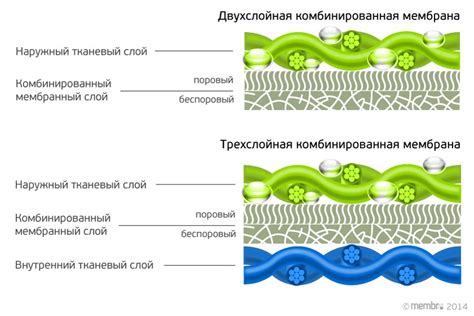 Виды мембран
