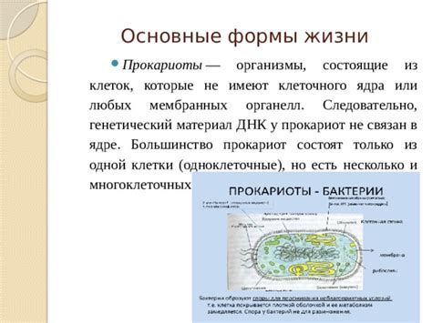 Виды мембранных органелл