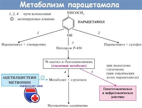 Виды назначения лекарств: