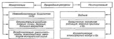 Виды оскорблений и их различия