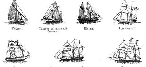 Виды парусов и их особенности