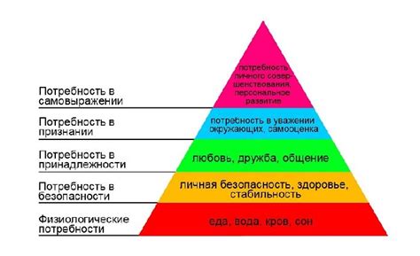 Виды потребностей и их особенности