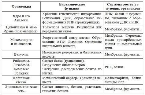 Виды премиаты и их особенности