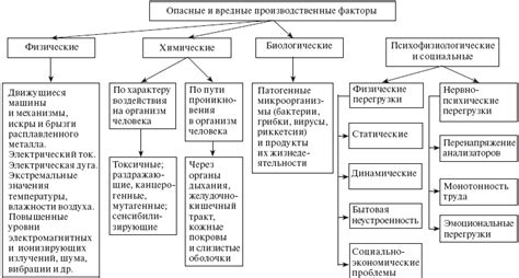 Виды работ, где может быть полезен метод окропления иссопом