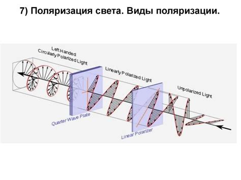 Виды световой отдачи и их особенности