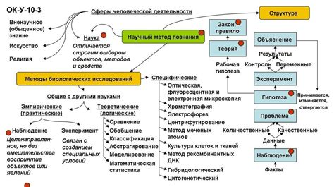 Виды синтезирования в биологии