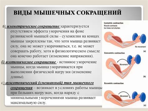 Виды сокращений