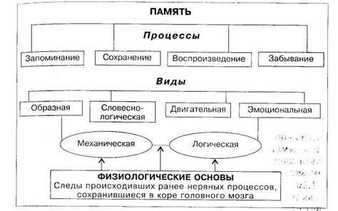 Виды способов восприятия