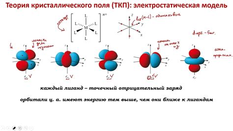 Виды трофического эффекта