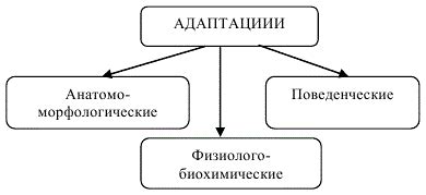 Виды укоренения и адаптивные механизмы растений