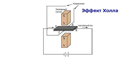 Виды холла болла и их особенности