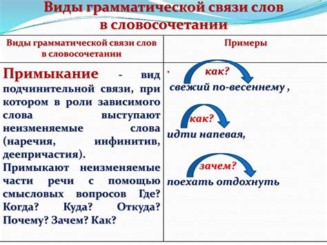 Вид связи управления: определение и примеры