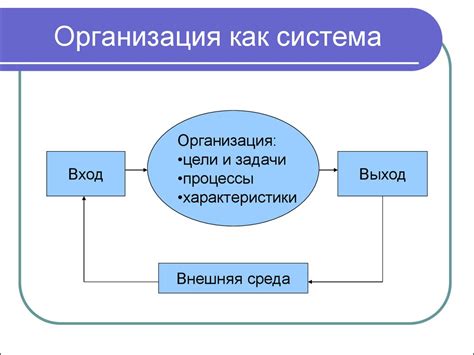 Визировать приказ: определение и сущность в рамках визовой системы