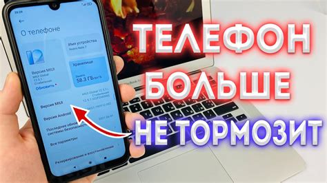 Виноград не завязывается: основные причины и методы решения проблемы