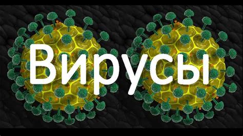 Вирулентность вируса: основные моменты