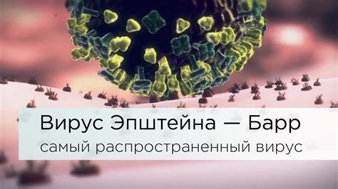 Вирус Барреля-Эпштейна: заболевание, причины, лечение