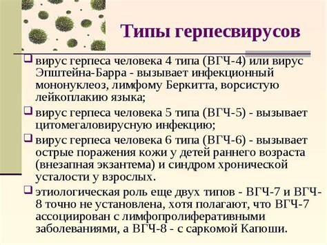 Вирус герпеса 6 типа