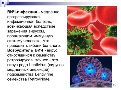 Вирус иммунодефицита человека - что это?