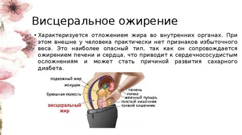 Висцеральное ожирение: понятие и определение