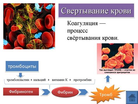 Витаминные дефициты и свертывание крови