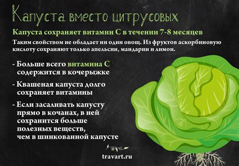 Витаминный состав очищенной капусты