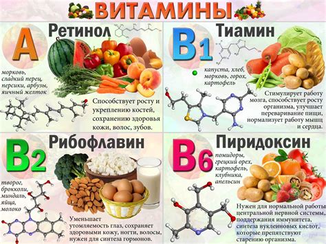 Витамины группы В: роль в организме и продукты-источники