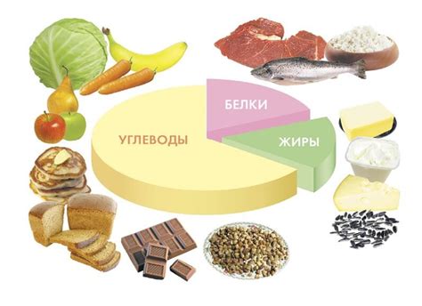 Витамины и питательные вещества в корме Виттри 1