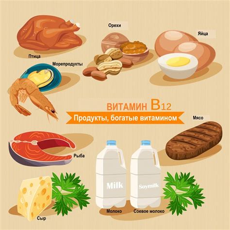 Витамин В12: продукты, богатые содержанием