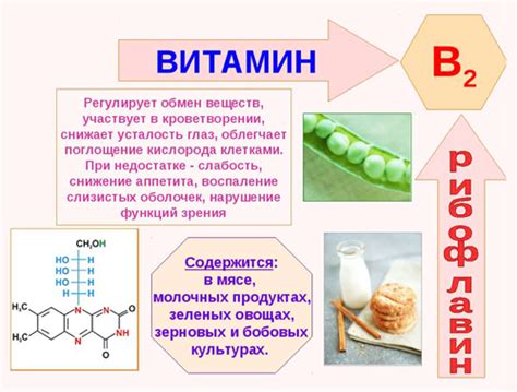 Витамин В2 (рибофлавин): функции и преимущества