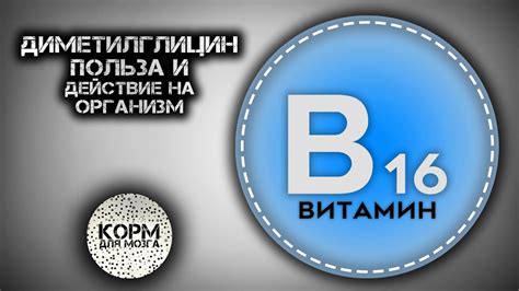 Витамин B16 - роль, польза и происхождение