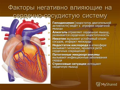 Влияет ли дыхательная недостаточность на сердечную систему?