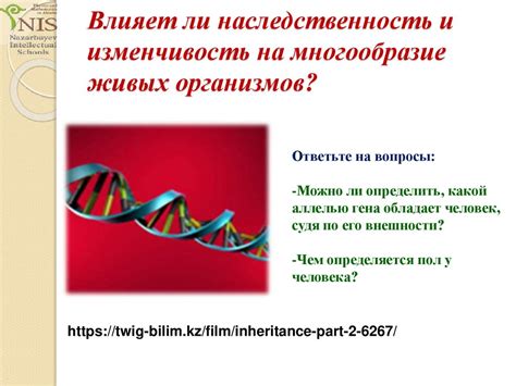 Влияет ли наследственность на развитие синдрома наджелудочного гребешка