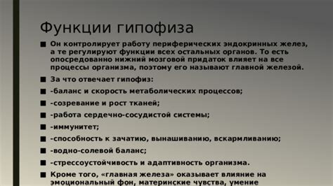 Влияет ли питание на работу периферических желез?