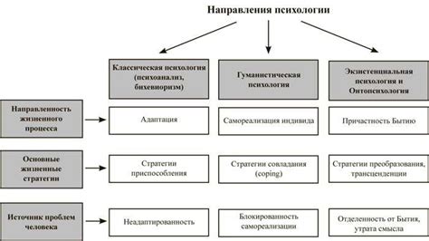 Влияние "майорского макинтоша" на различные области жизни