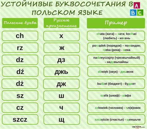 Влияние "ja pierdole" на польский язык и культуру