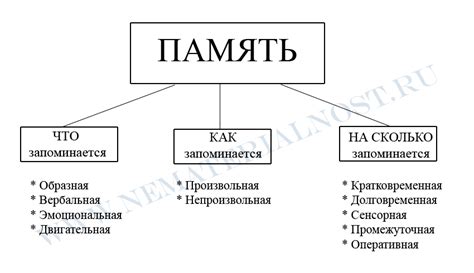 Влияние «напиши по памяти» на SEO