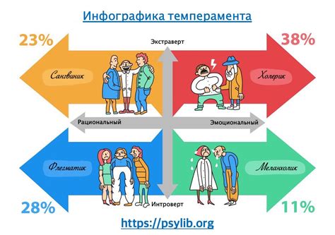 Влияние Матри карака Раху на темперамент и характер