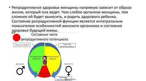 Влияние ФТ4 на репродуктивную систему