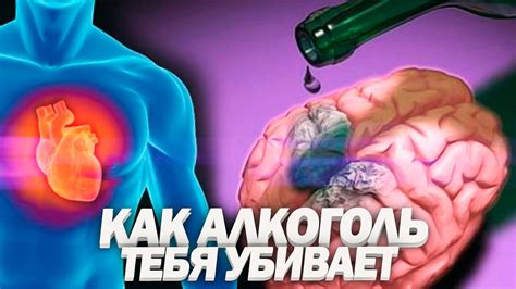 Влияние алкоголя в сновидениях и его связь с реальностью