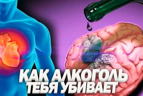 Влияние алкоголя на органы и системы организма