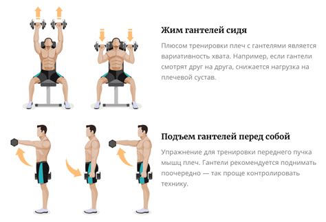 Влияние анатомии первого плеча на выполнение упражнений