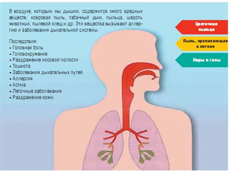 Влияние багрения на здоровье человека