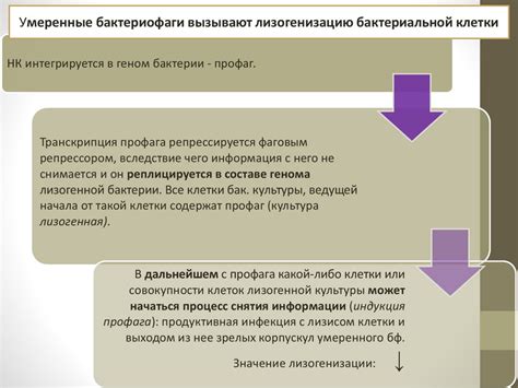 Влияние биологических факторов на эмоциональную привязанность