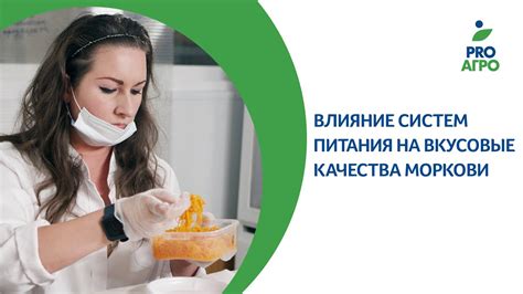 Влияние блантов на вкусовые качества блюд