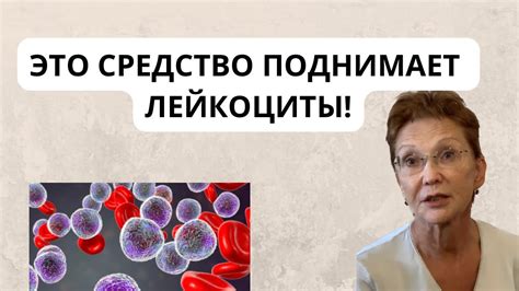 Влияние болезней на уровень лейкоцитов