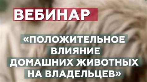 Влияние вида пользования на владельцев