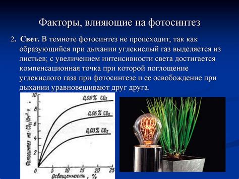 Влияние внешних условий на нас