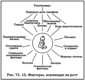 Влияние внешних условий на созревание