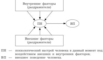 Влияние внешних факторов на наше поведение